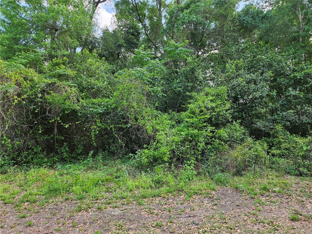 0 SE 138 Street Summerfield FL 34491 OM697360 image1