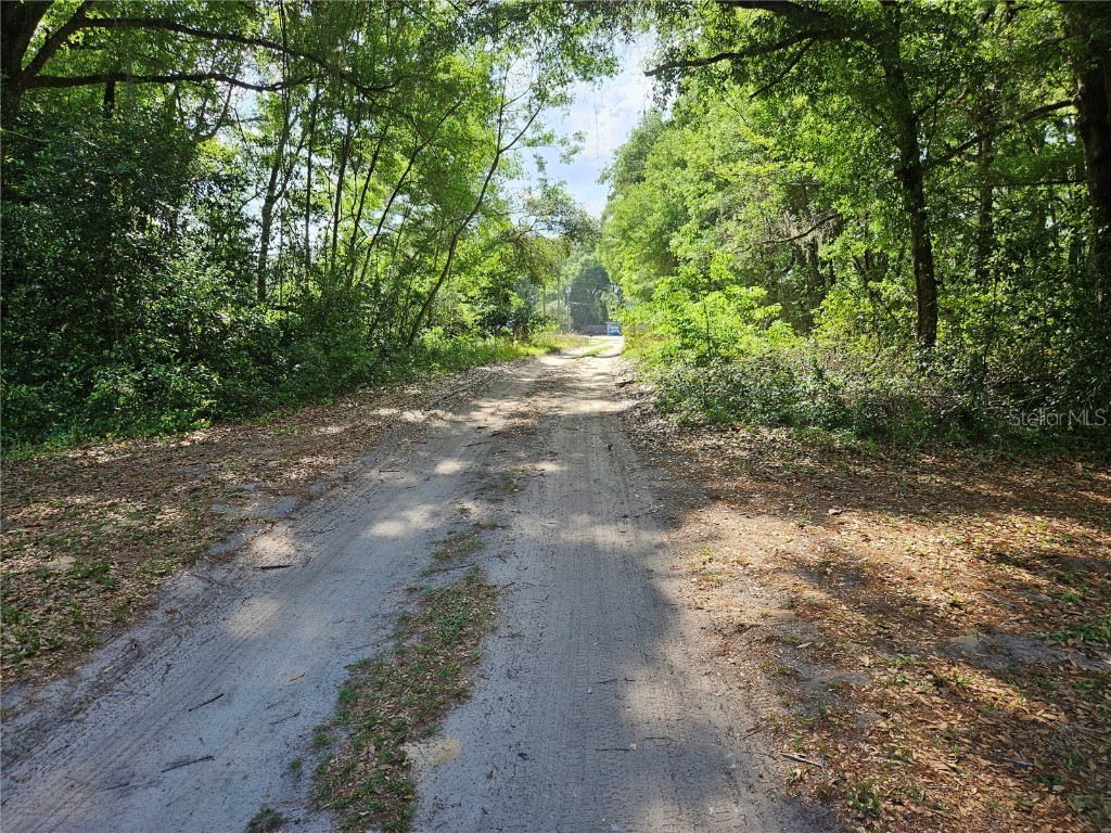 0 SE 138 Street Summerfield FL 34491 OM697360 image3