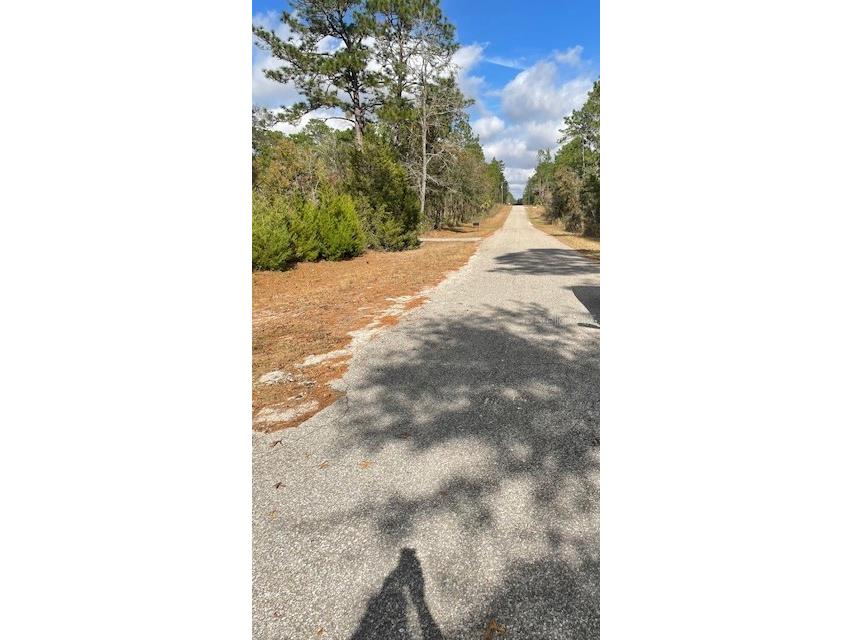 0 SE 139 Court Dunnellon FL 34434 OM714395 image2