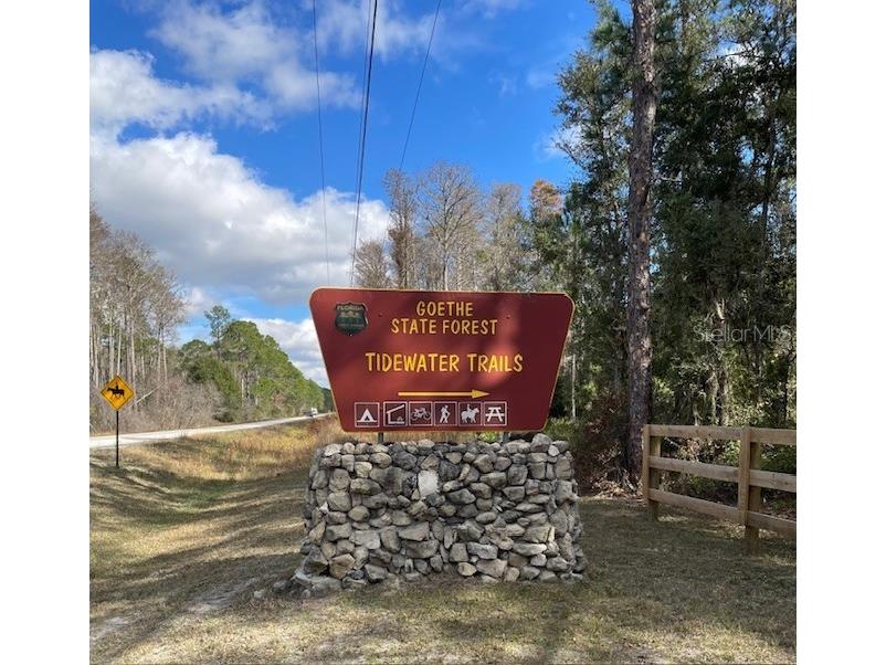 0 SE 139 Court Dunnellon FL 34434 OM714395 image3