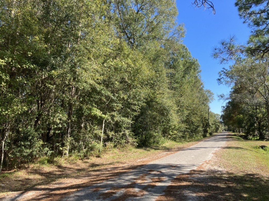 0 SE 139th Ste Starke FL 32091 A4589959 image1