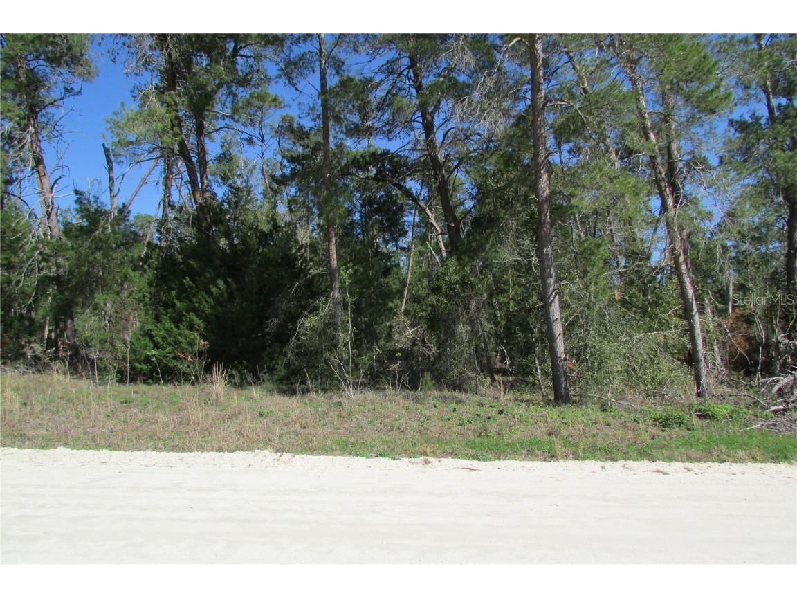 0 SE 140th Avenue Williston FL 32696 OM673795 image1
