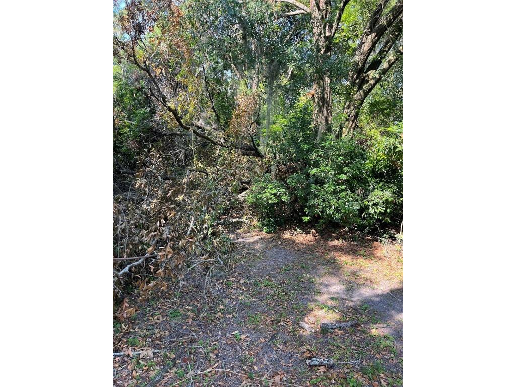 0 SE 140th Lane Belleview FL 34421 OM673820 image1