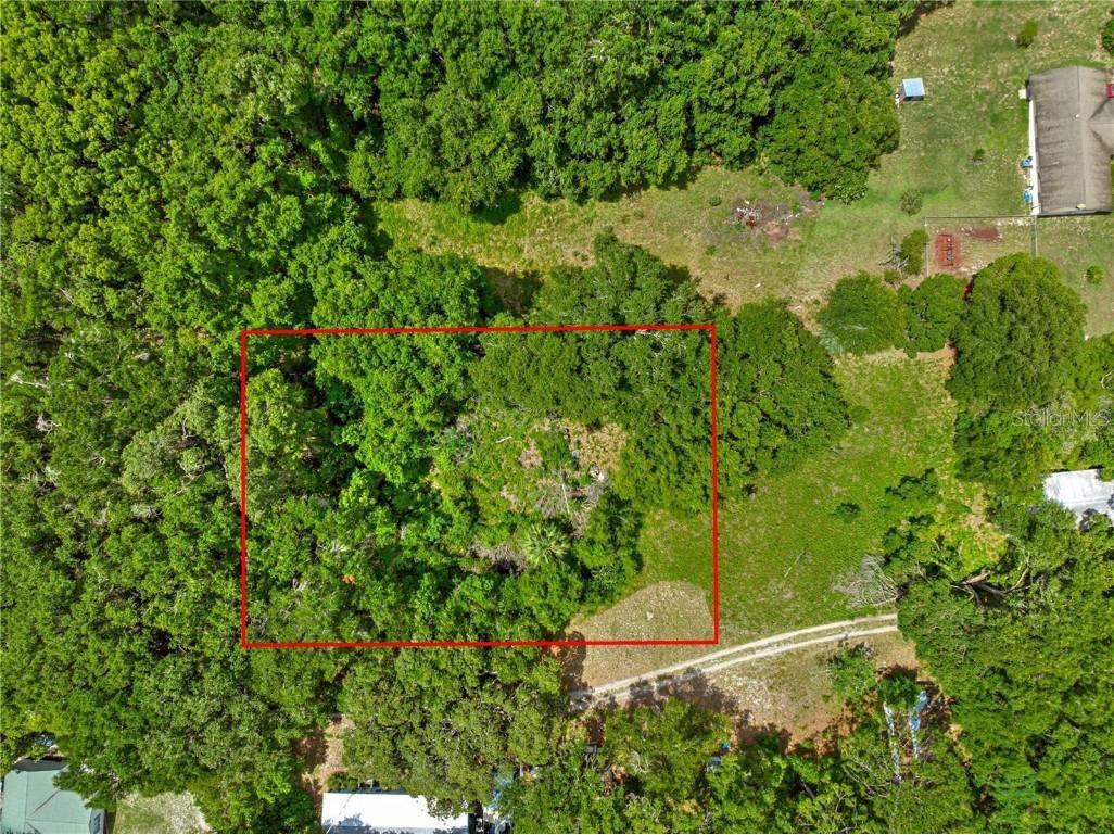 0 Se 140th Terrace Terrace Ocklawaha FL 32179 OM714481 image3