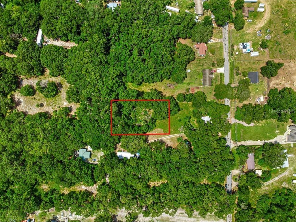 0 Se 140th Terrace Terrace Ocklawaha FL 32179 OM714481 image4