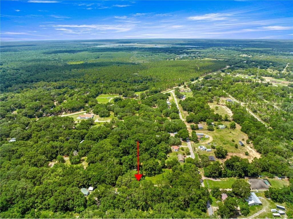 0 Se 140th Terrace Terrace Ocklawaha FL 32179 OM714481 image5