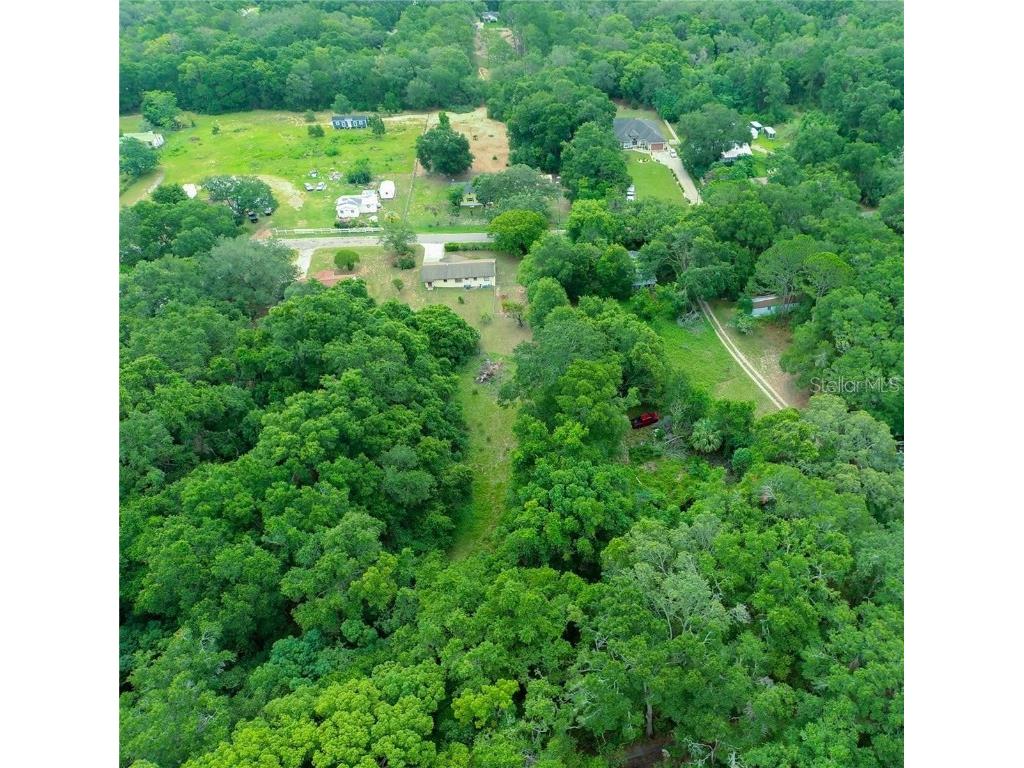 0 Se 140th Terrace Terrace Ocklawaha FL 32179 OM714481 image6