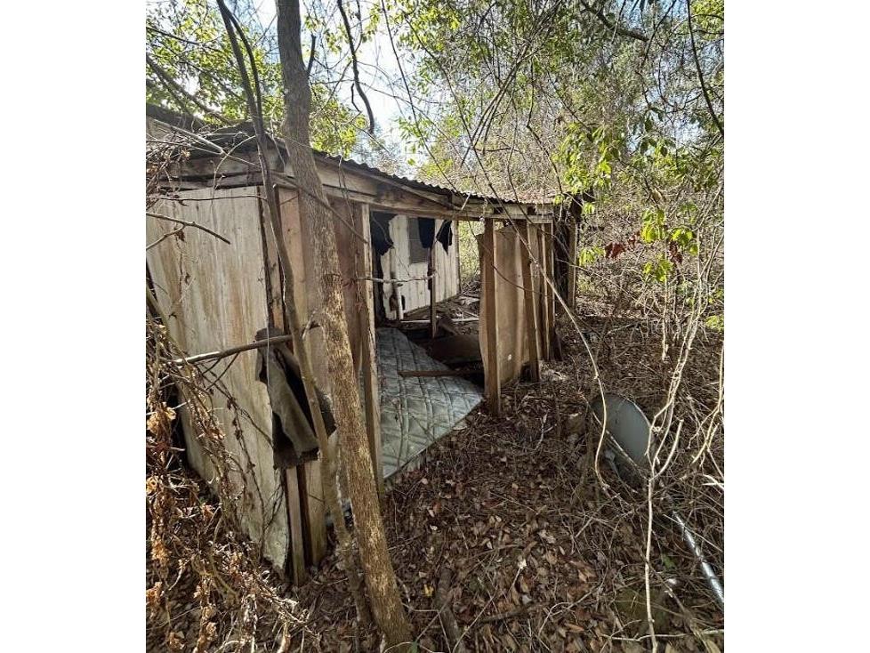 0 SE 141st Place Umatilla FL 32784 O6372539 image3