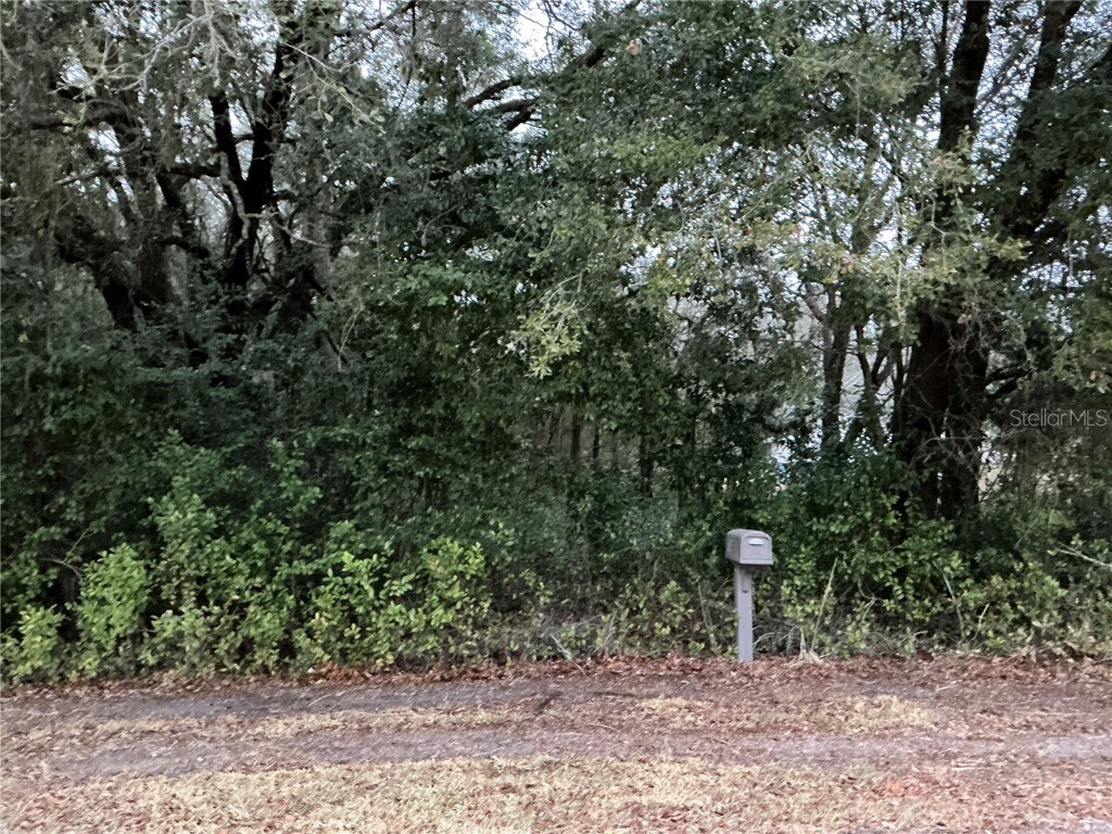 0 SE 143rd Place Summerfield FL 34491 OM711529 image1