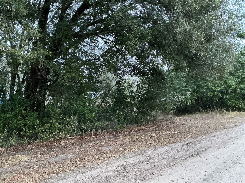 0 SE 143rd Place Summerfield FL 34491 OM711529 image3