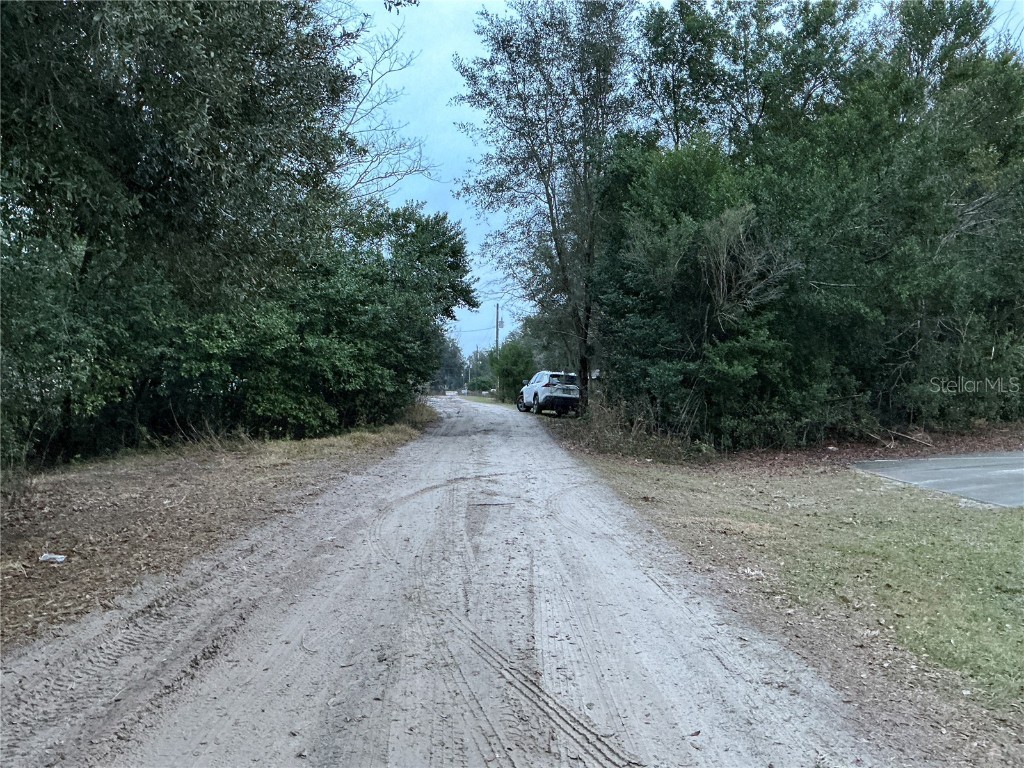 0 SE 143rd Place Summerfield FL 34491 OM711529 image4