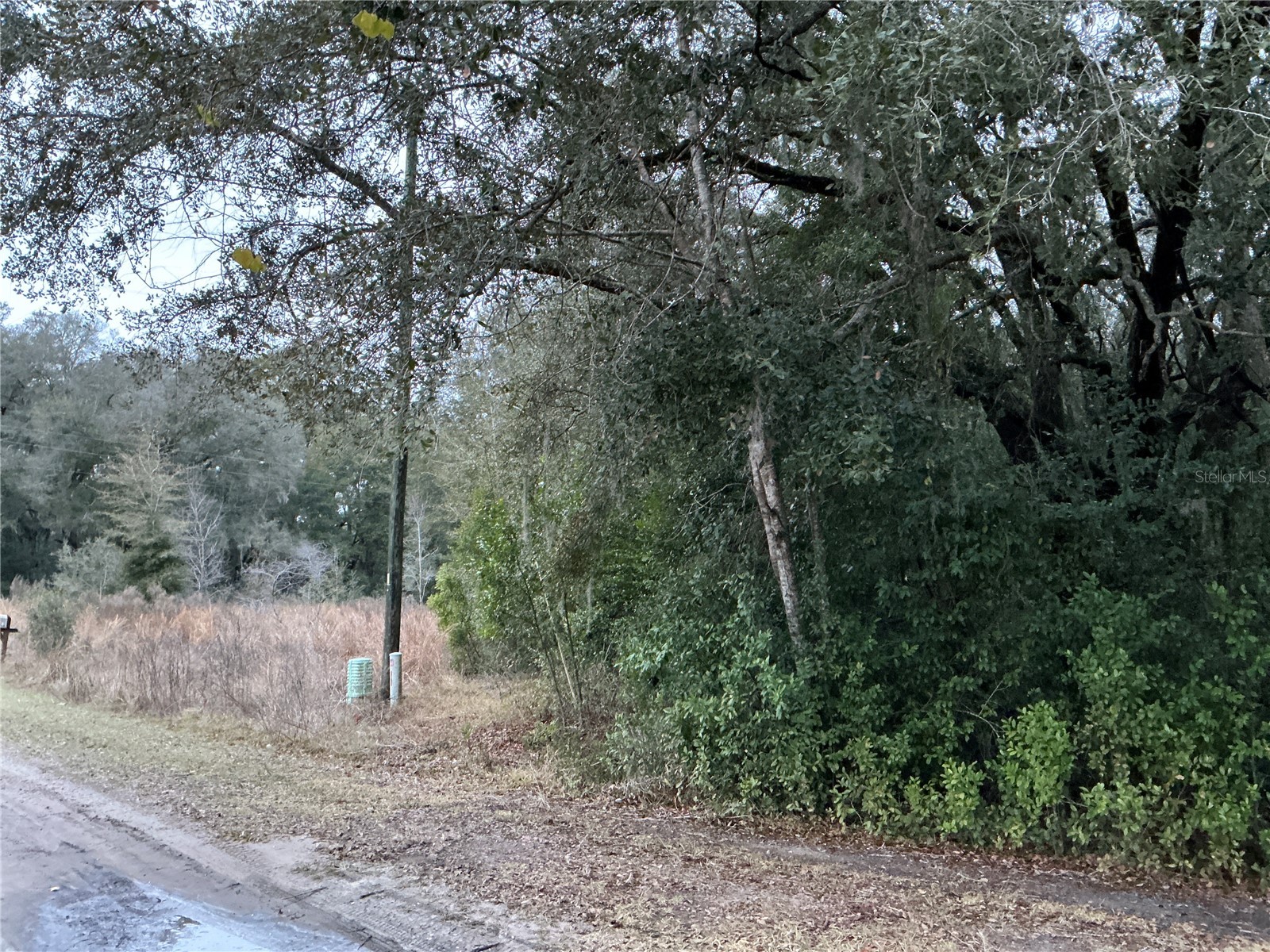 0 SE 143rd Place Summerfield FL 34491 OM725097 image3