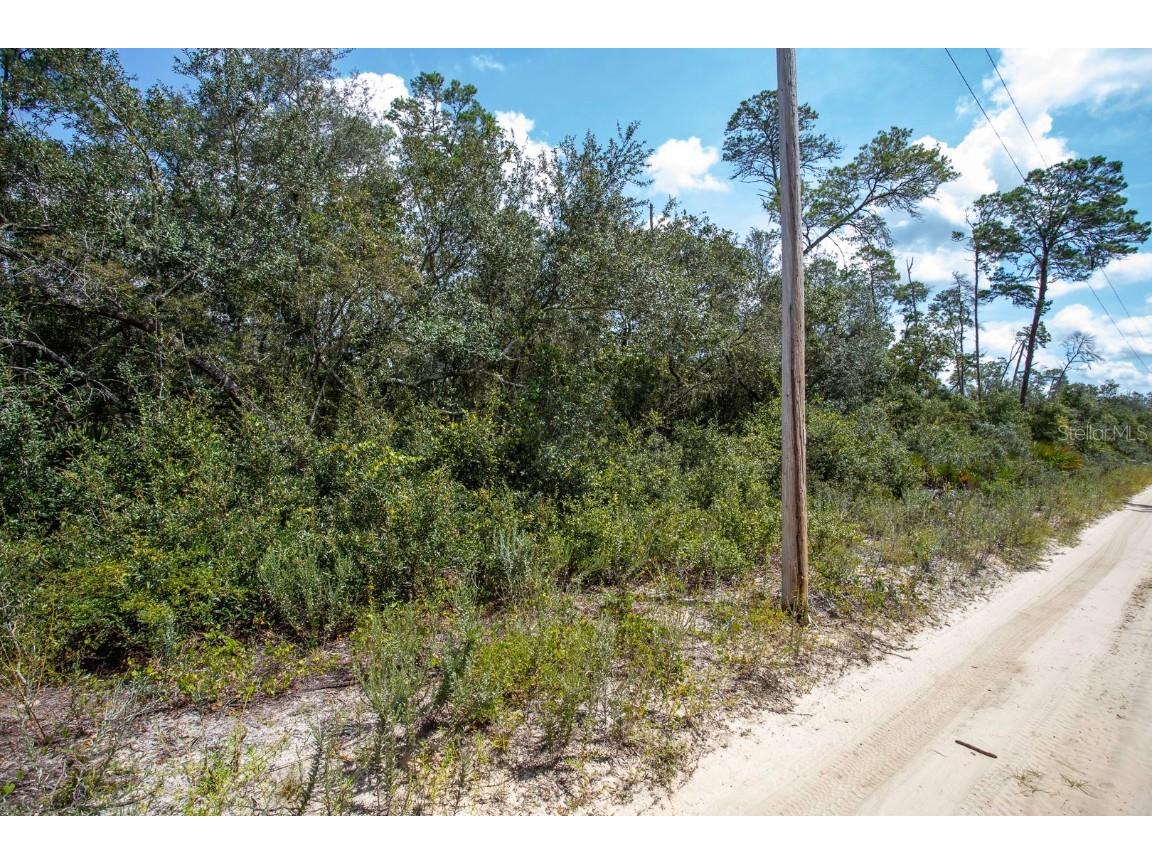0 SE 145th Place Umatilla FL 32784 G5046060 image1