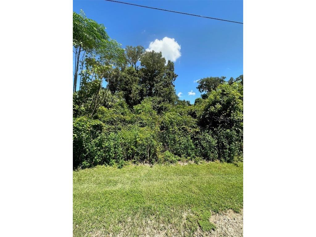 0 SE 147th Lane Summerfield FL 34491 OM664217 image1