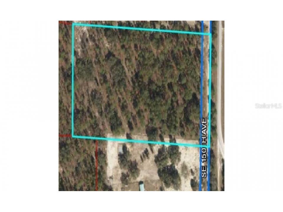 0 SE 150th Avenue Morriston FL 32668 O6033040 image1