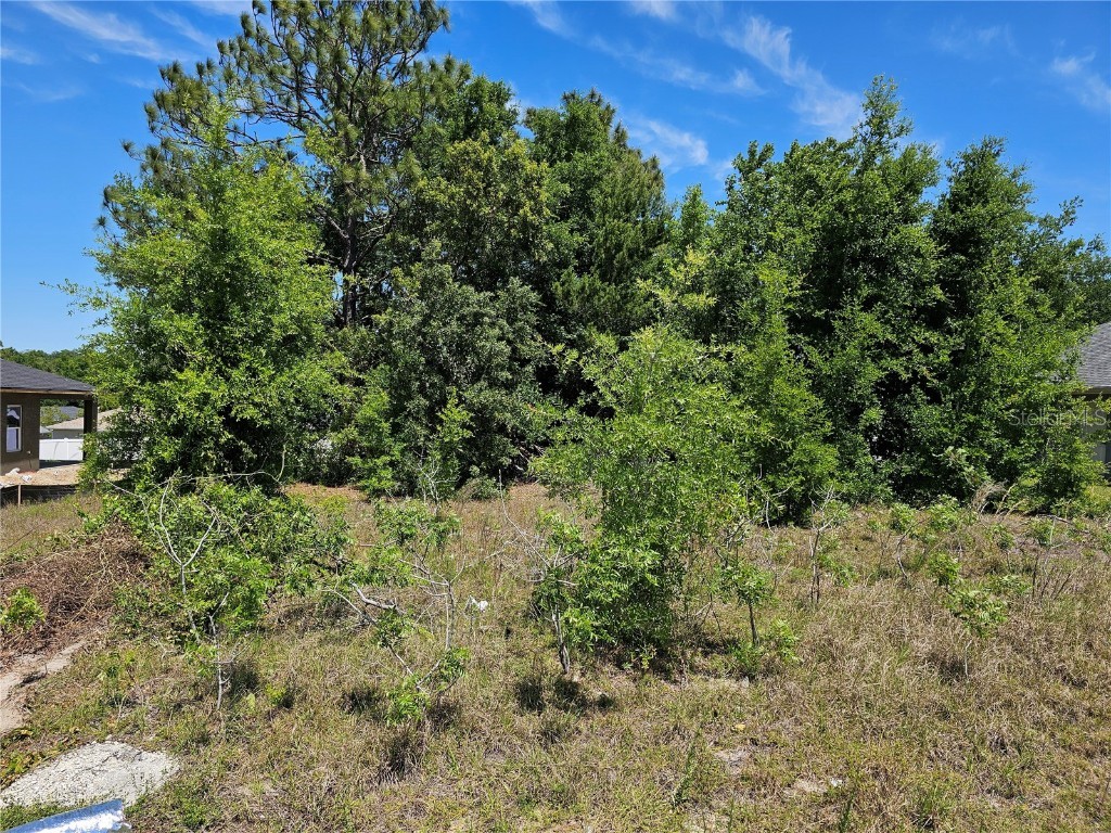 0 SE 152nd Place Summerfield FL 34491 OM676951 image1