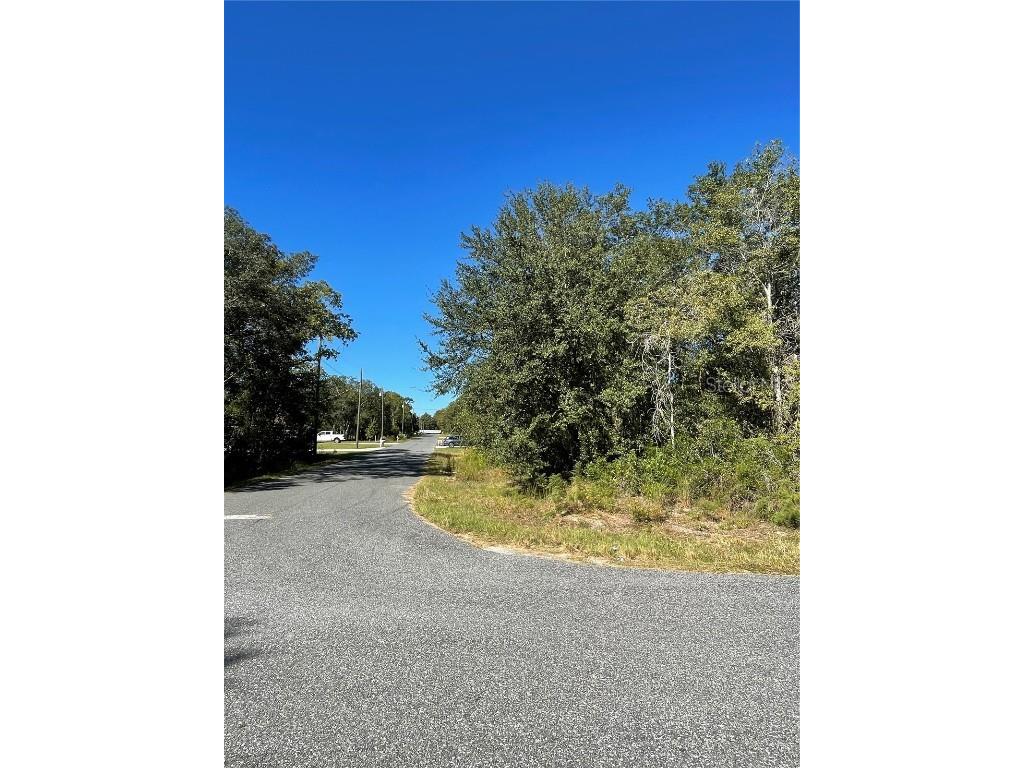 0 SE 158th Place Summerfield FL 34491 O6150614 image1