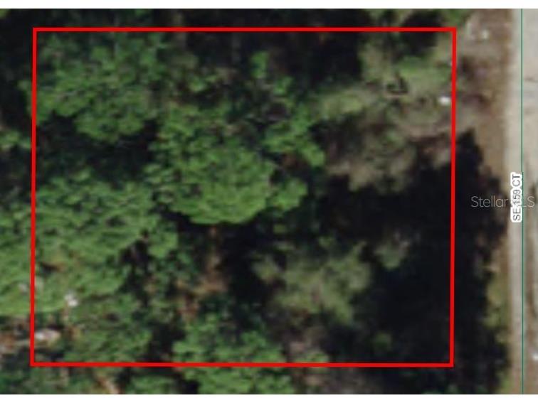 0 SE 159 Court Silver Springs FL 34488 OM673841 image1