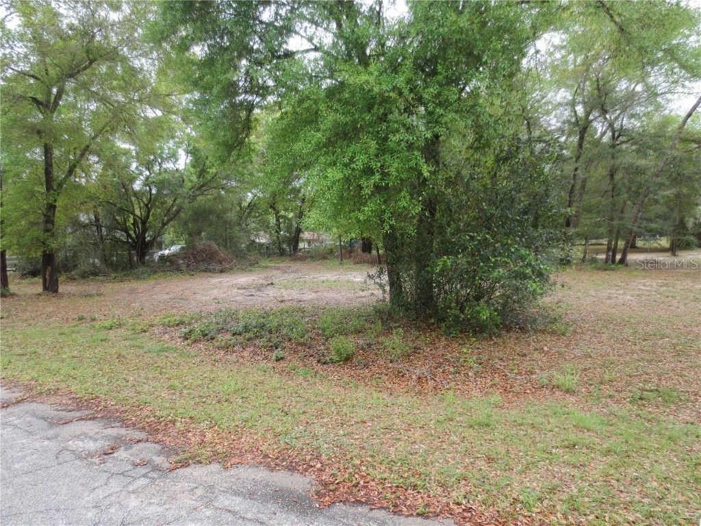 0 SE 161 Court Ocklawaha FL 32179 - North Lake OM654668 image1