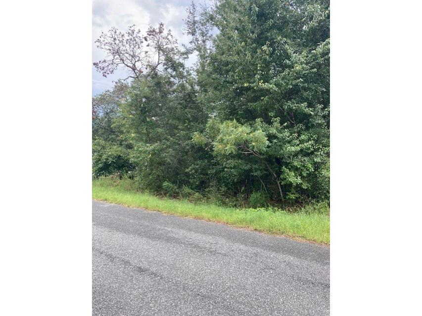 0 SE 164th Place Summerfield FL 34491 G5059651 image1