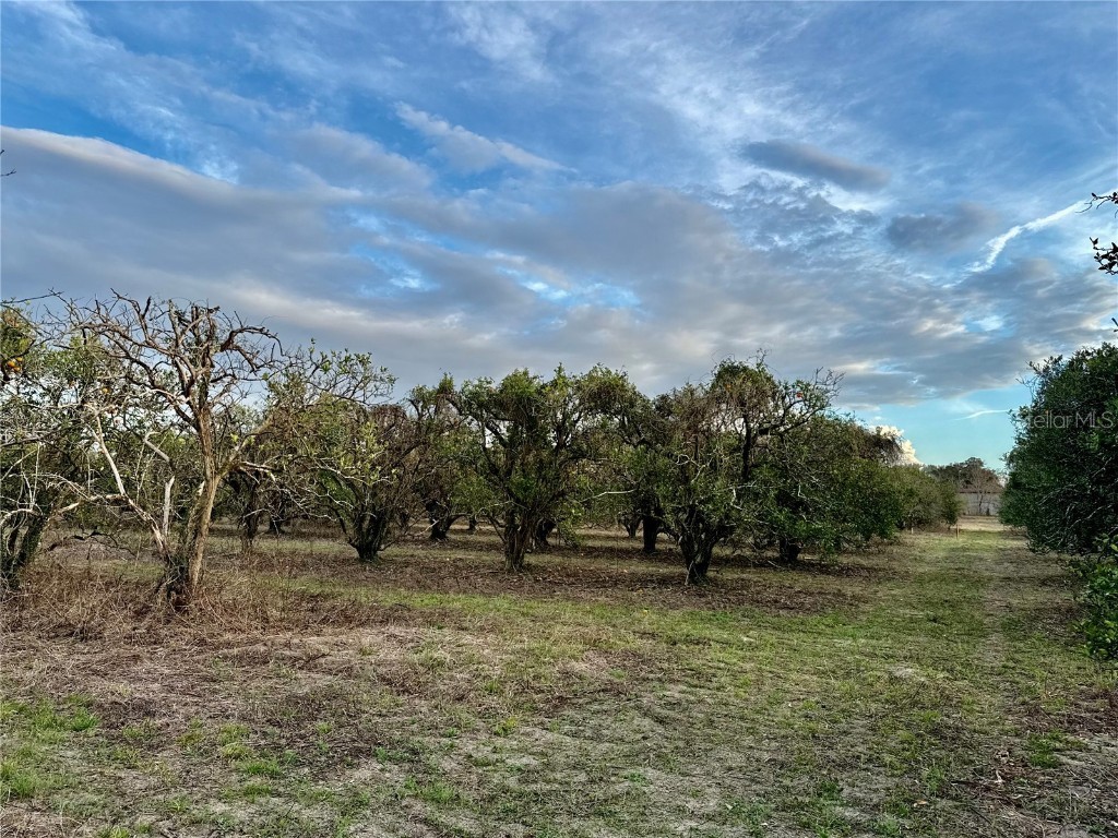 0 SE 165th Avenue Weirsdale FL 32195 - SADDLEBAG LAKE G5093016 image1