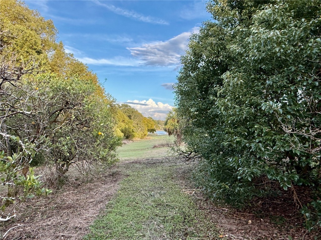 0 SE 165th Avenue Weirsdale FL 32195 - SADDLEBAG LAKE G5093016 image2