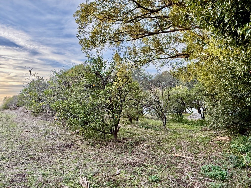 0 SE 165th Avenue Weirsdale FL 32195 - SADDLEBAG LAKE G5093016 image3