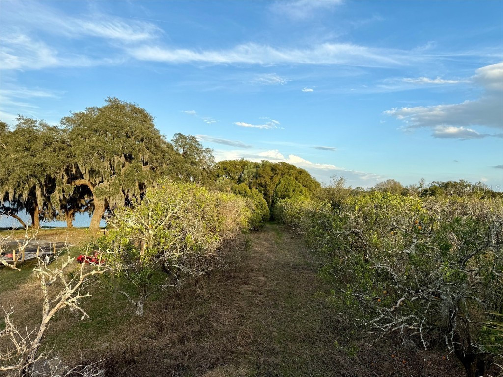 0 SE 165th Avenue Weirsdale FL 32195 - SADDLEBAG LAKE G5093016 image4