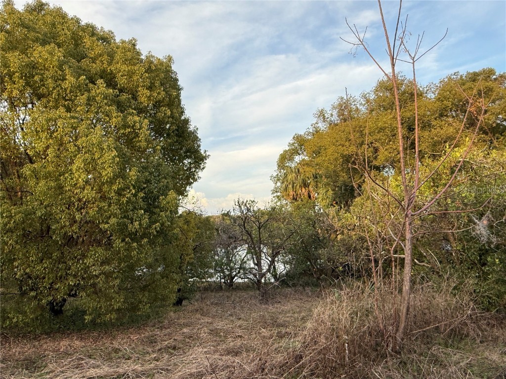 0 SE 165th Avenue Weirsdale FL 32195 - SADDLEBAG LAKE G5093016 image5