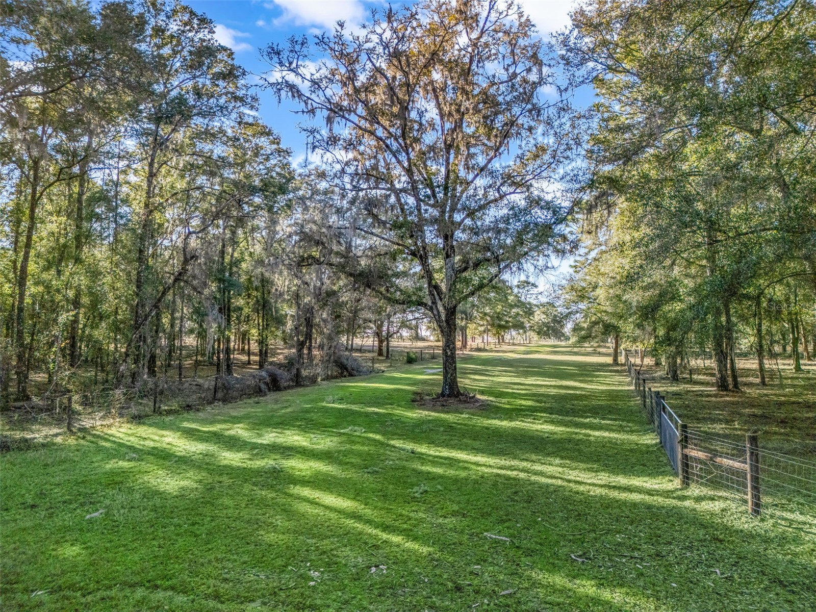 0 SE 165th Avenue Williston FL 32696 OM718138 image1