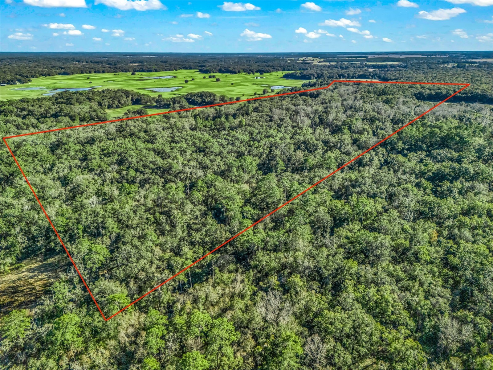 0 SE 165th Avenue Williston FL 32696 OM718138 image10