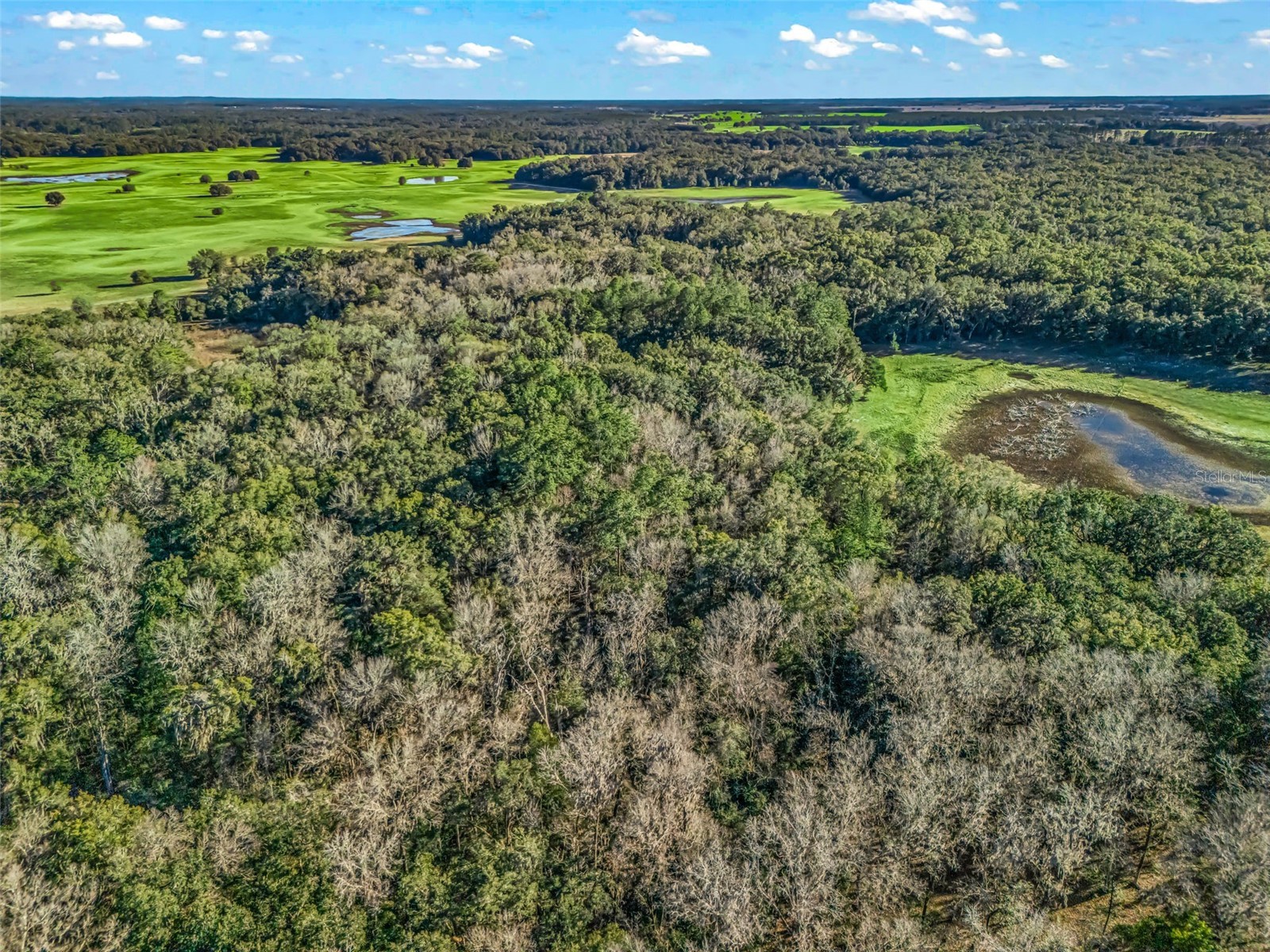 0 SE 165th Avenue Williston FL 32696 OM718138 image11