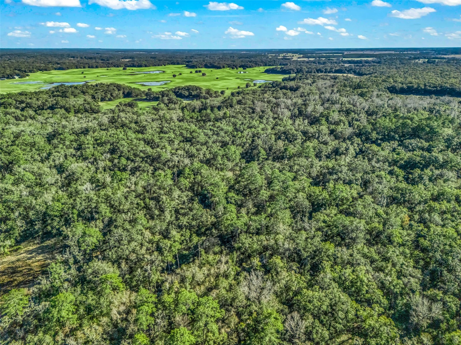 0 SE 165th Avenue Williston FL 32696 OM718138 image13