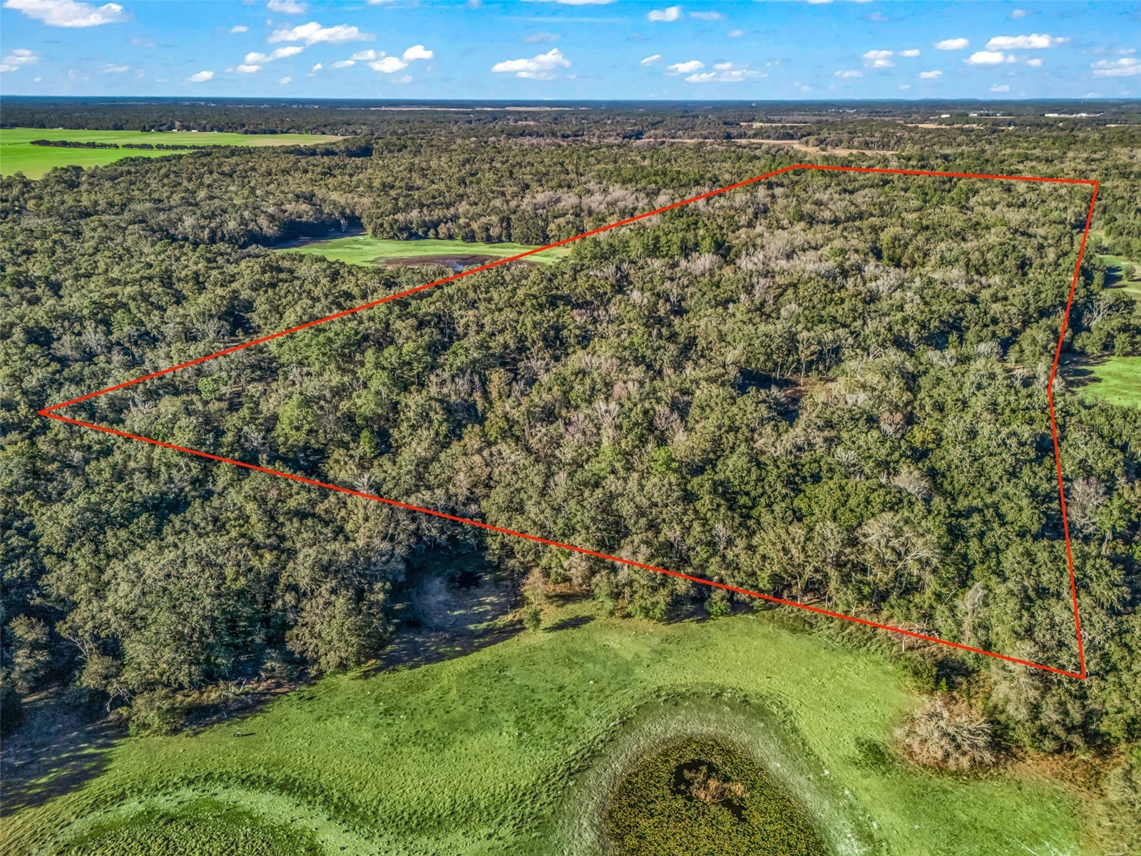 0 SE 165th Avenue Williston FL 32696 OM718138 image14