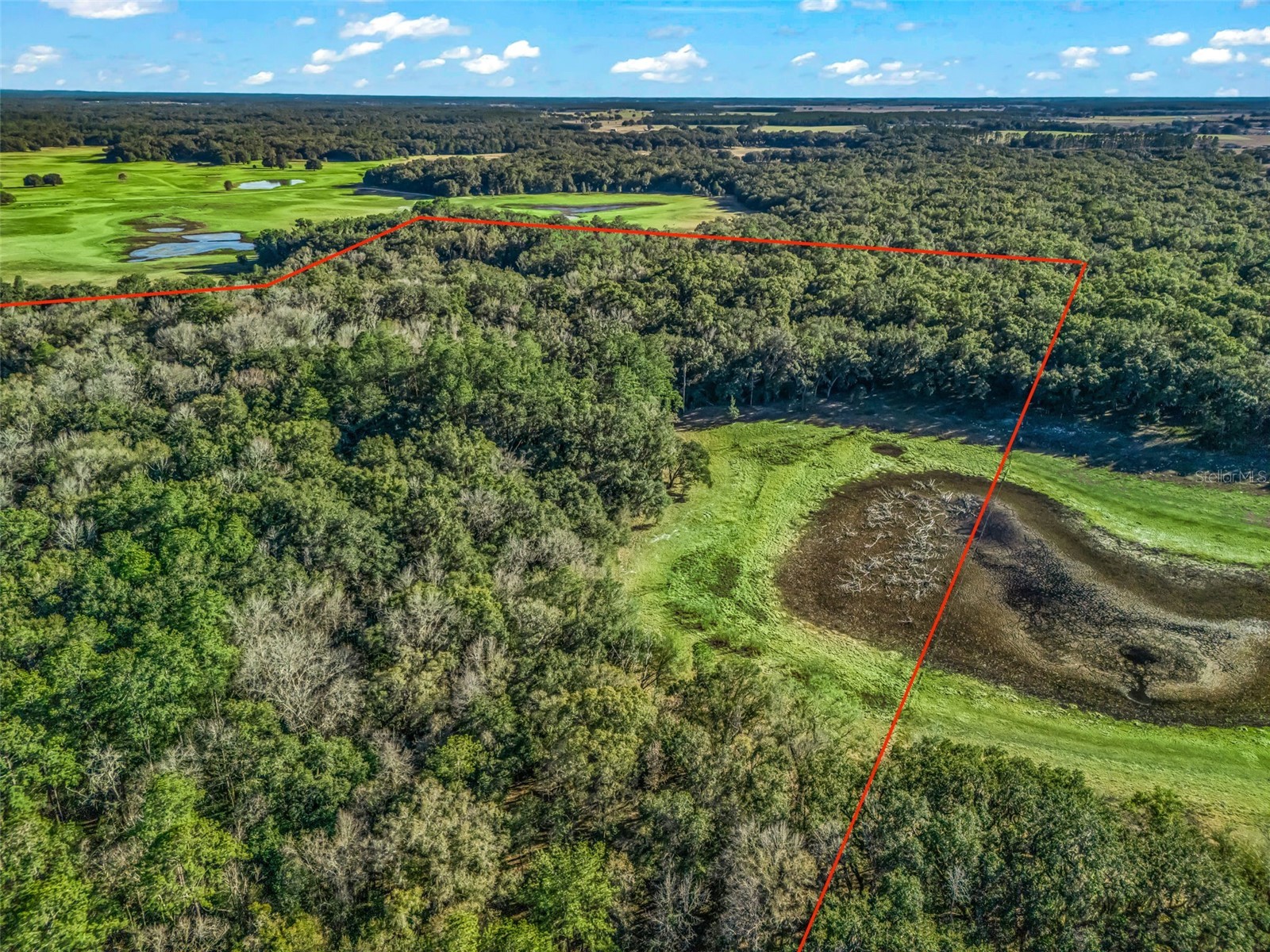 0 SE 165th Avenue Williston FL 32696 OM718138 image15
