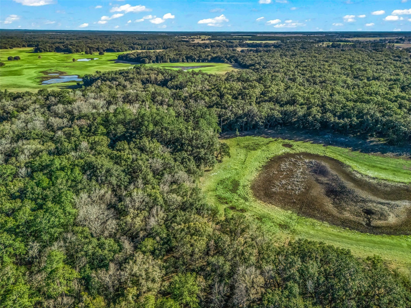 0 SE 165th Avenue Williston FL 32696 OM718138 image16