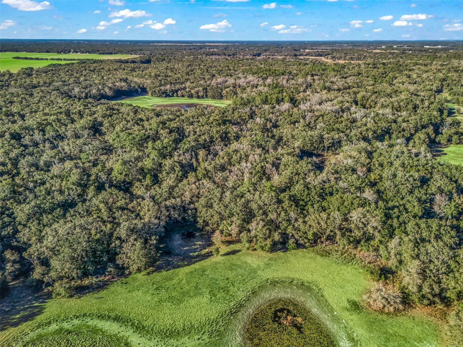 0 SE 165th Avenue Williston FL 32696 OM718138 image17