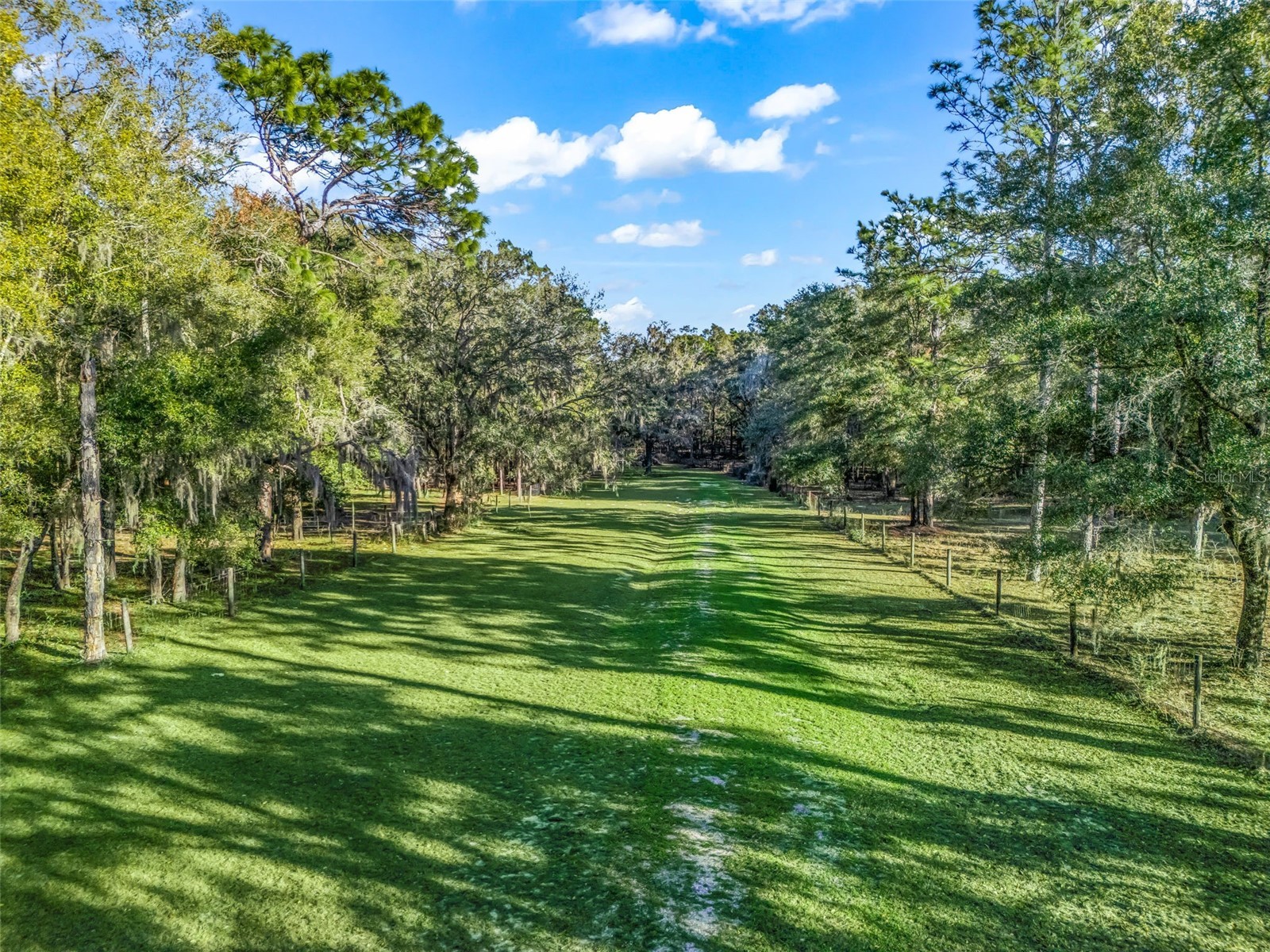 0 SE 165th Avenue Williston FL 32696 OM718138 image2