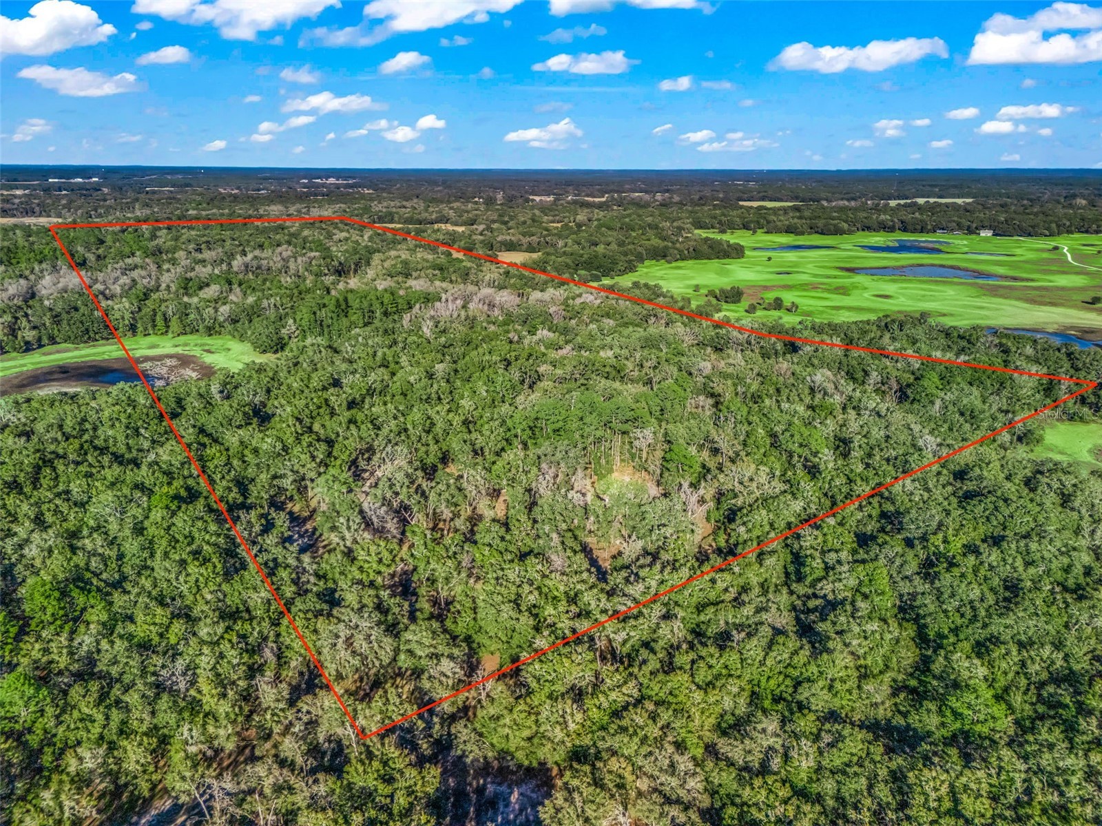 0 SE 165th Avenue Williston FL 32696 OM718138 image3
