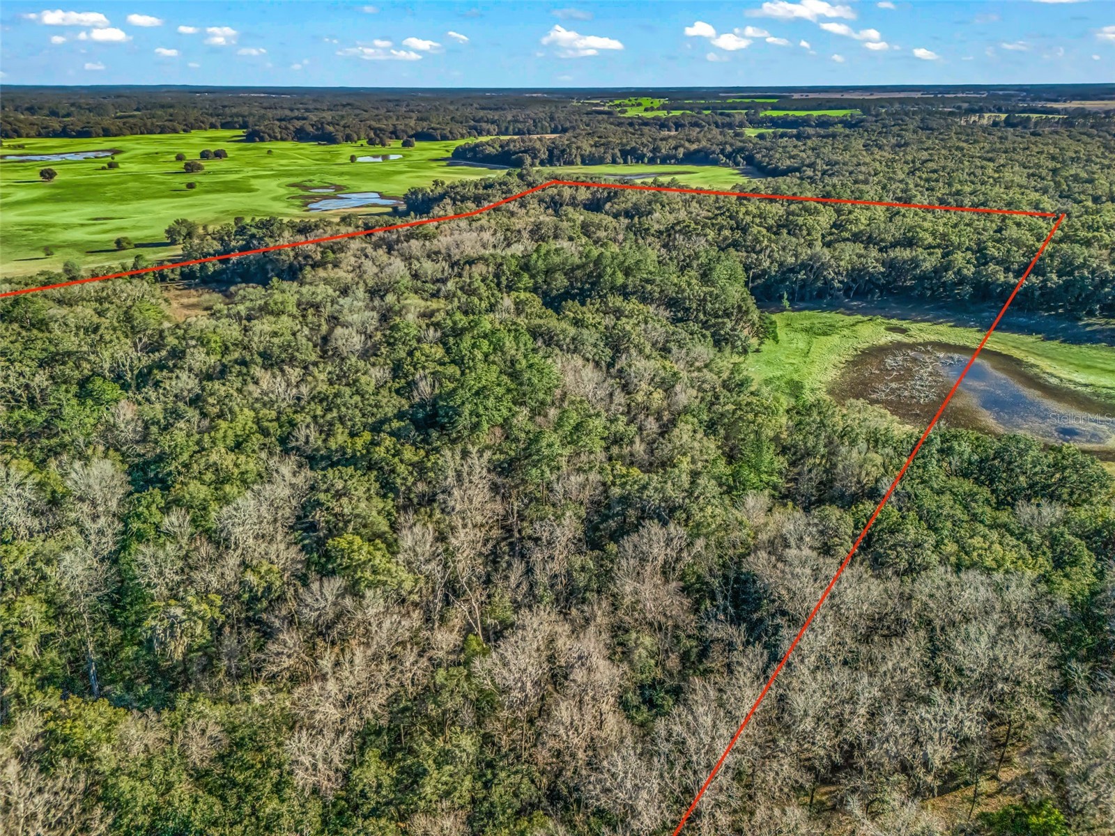 0 SE 165th Avenue Williston FL 32696 OM718138 image4