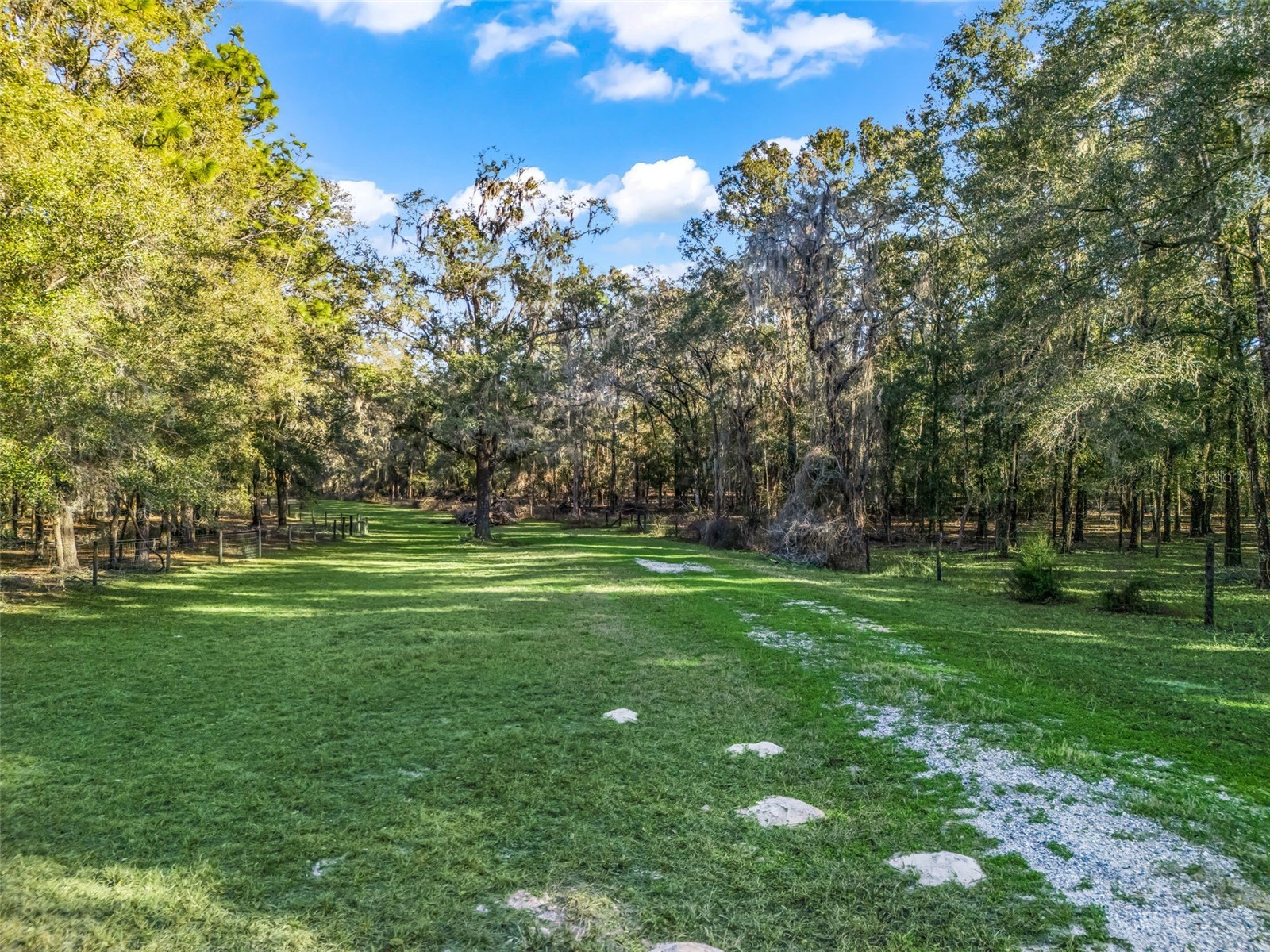 0 SE 165th Avenue Williston FL 32696 OM718138 image5