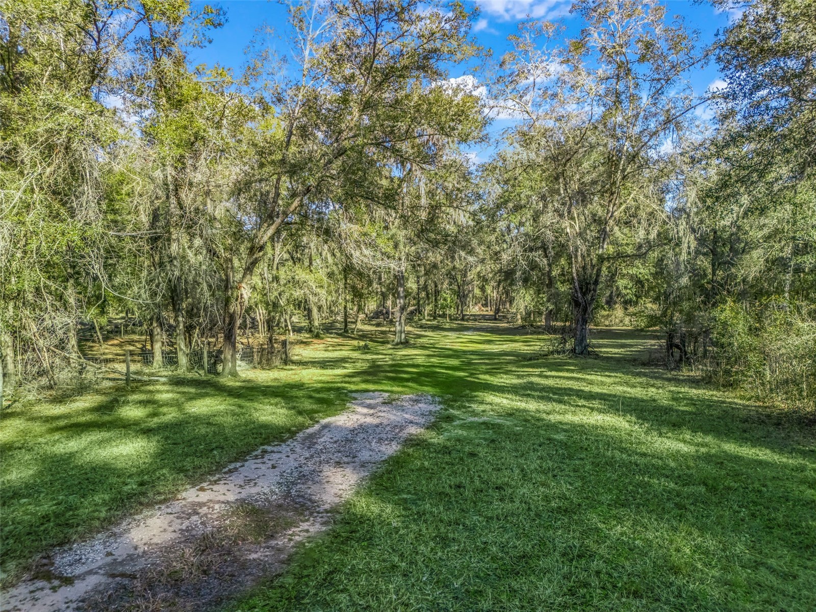 0 SE 165th Avenue Williston FL 32696 OM718138 image6