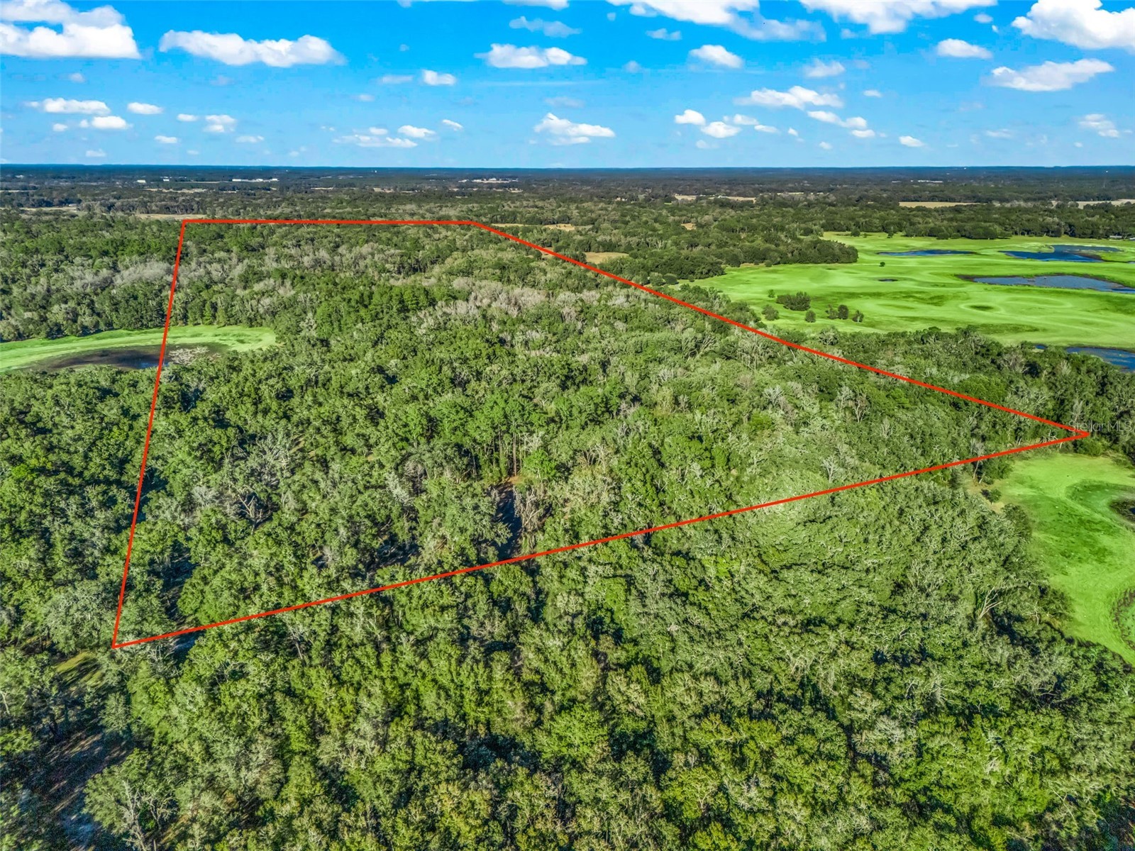 0 SE 165th Avenue Williston FL 32696 OM718138 image7