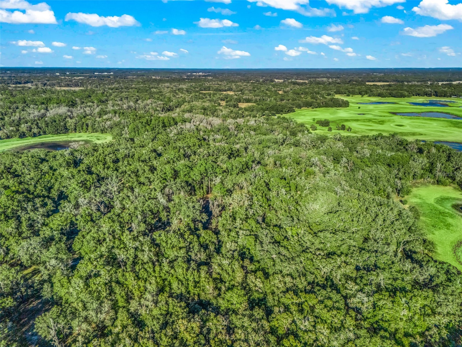 0 SE 165th Avenue Williston FL 32696 OM718138 image8