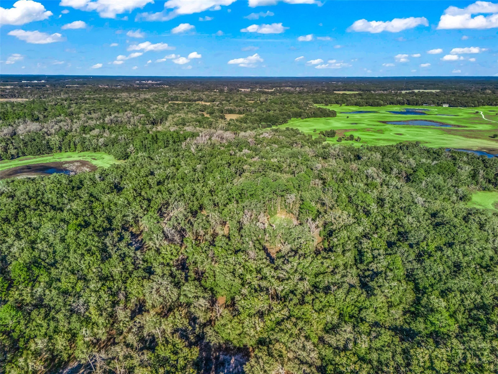 0 SE 165th Avenue Williston FL 32696 OM718138 image9