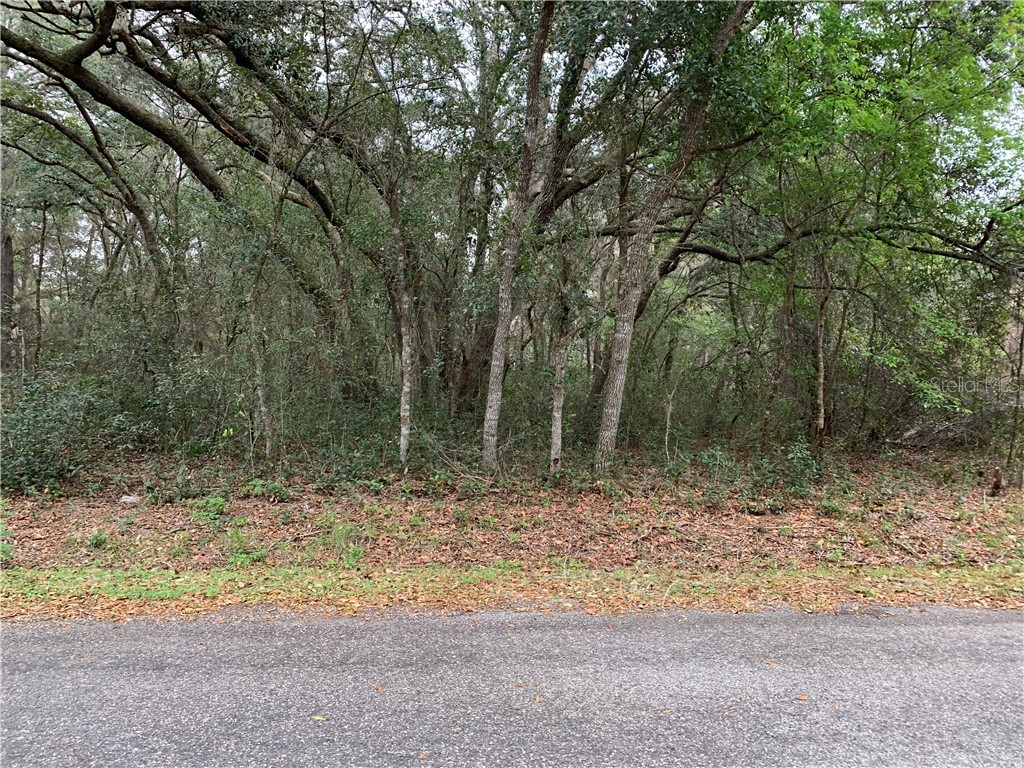 0 SE 169 Court Ocklawaha FL 32179 G5026196 image1