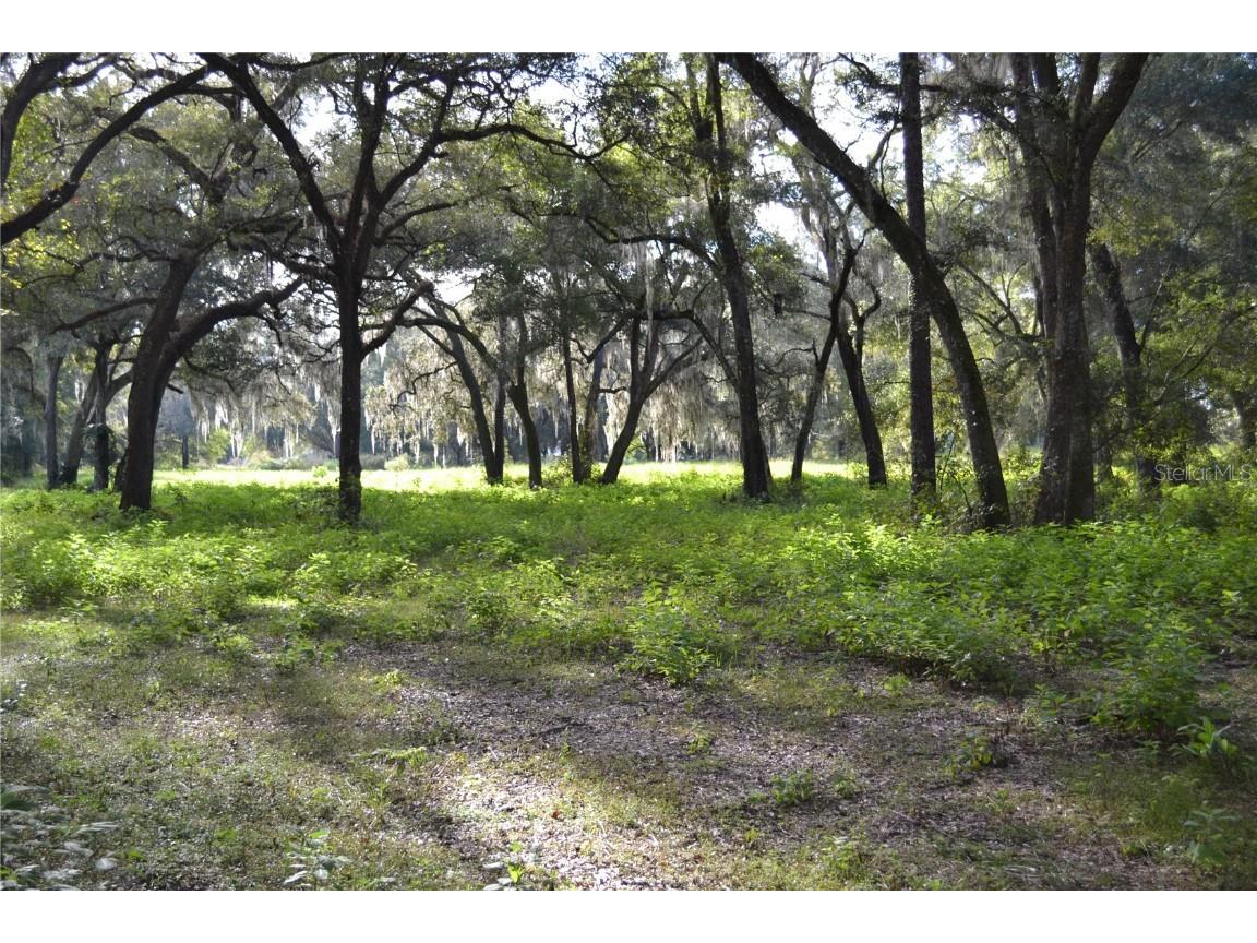 0 SE 170th Street Summerfield FL 34491 OM629193 image1