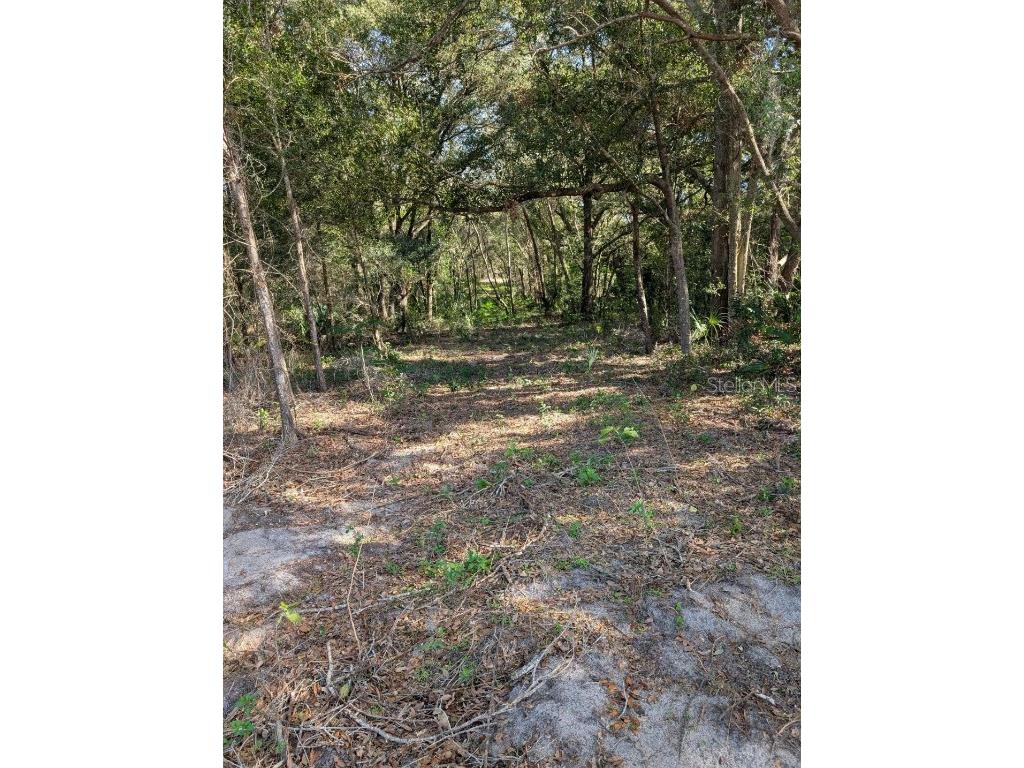 0 SE 176th Place Weirsdale FL 32195 OM694301 image1