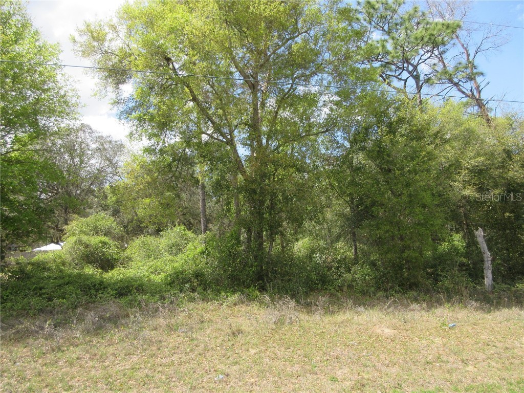 0 SE 180 Ave Road Ocklawaha FL 32179 OM697646 image4