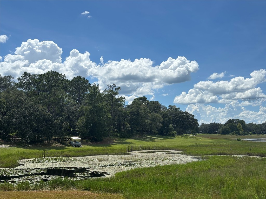 0 SE 180th Ave Ocklawaha FL 32179 - LAKE TAHOE OM707450 image1